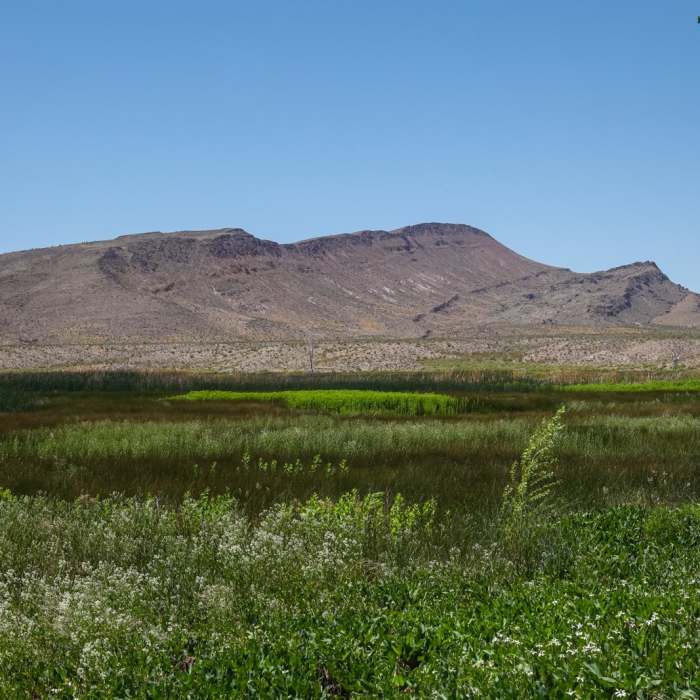Near WHIN Dike Trail Near WHIN Dike Trail