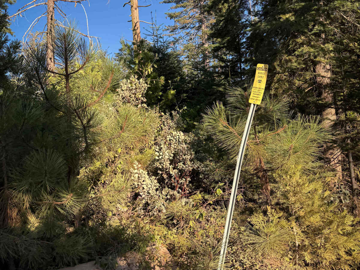 21E235 photo 6