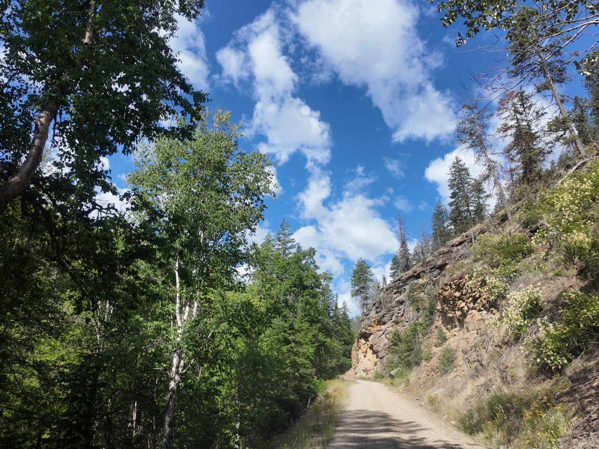 Trout Creek of the Selkirk photo 3