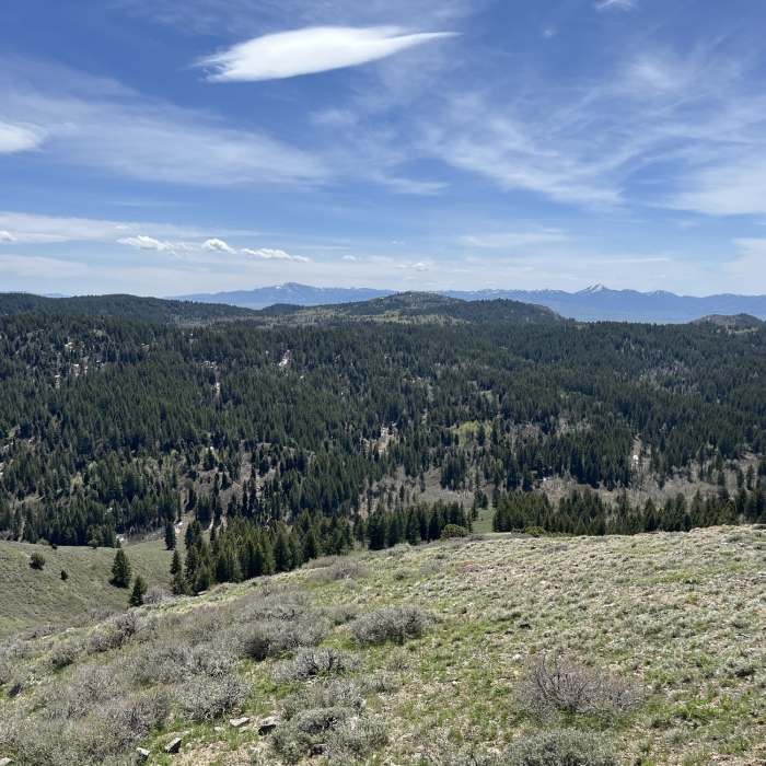Near West Fork Gibson Jack #015