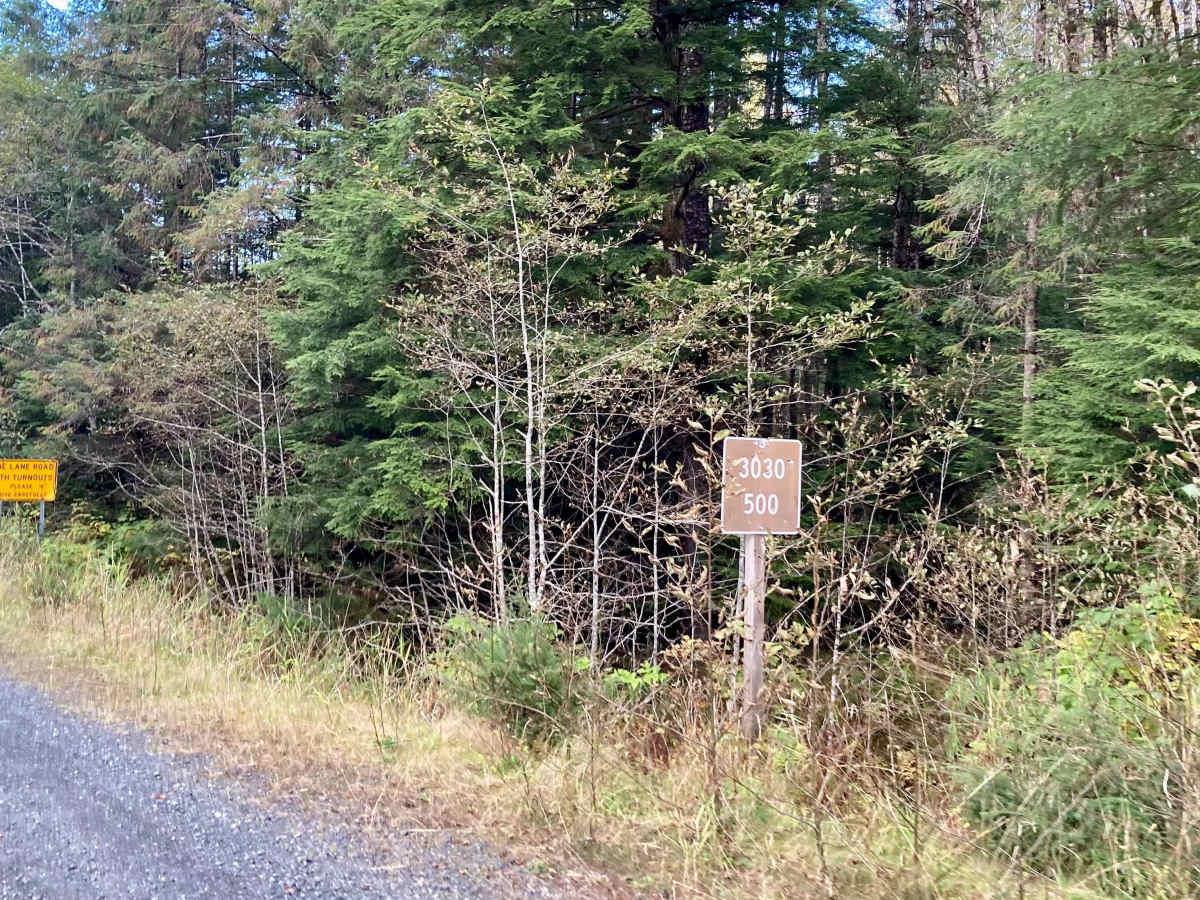 Lake Bay Road - FS 3030500 photo 2