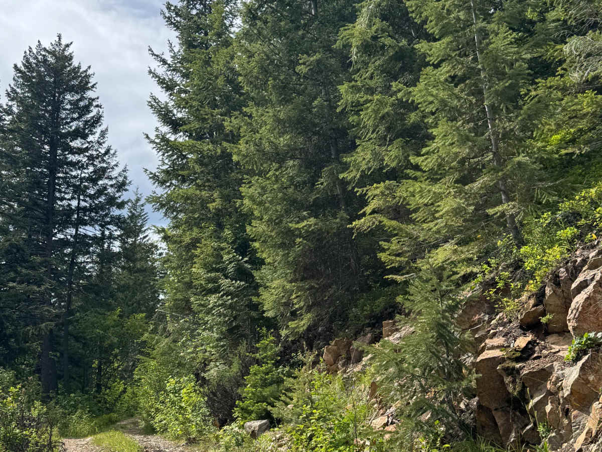 Sullivan Mountain Trail photo 6