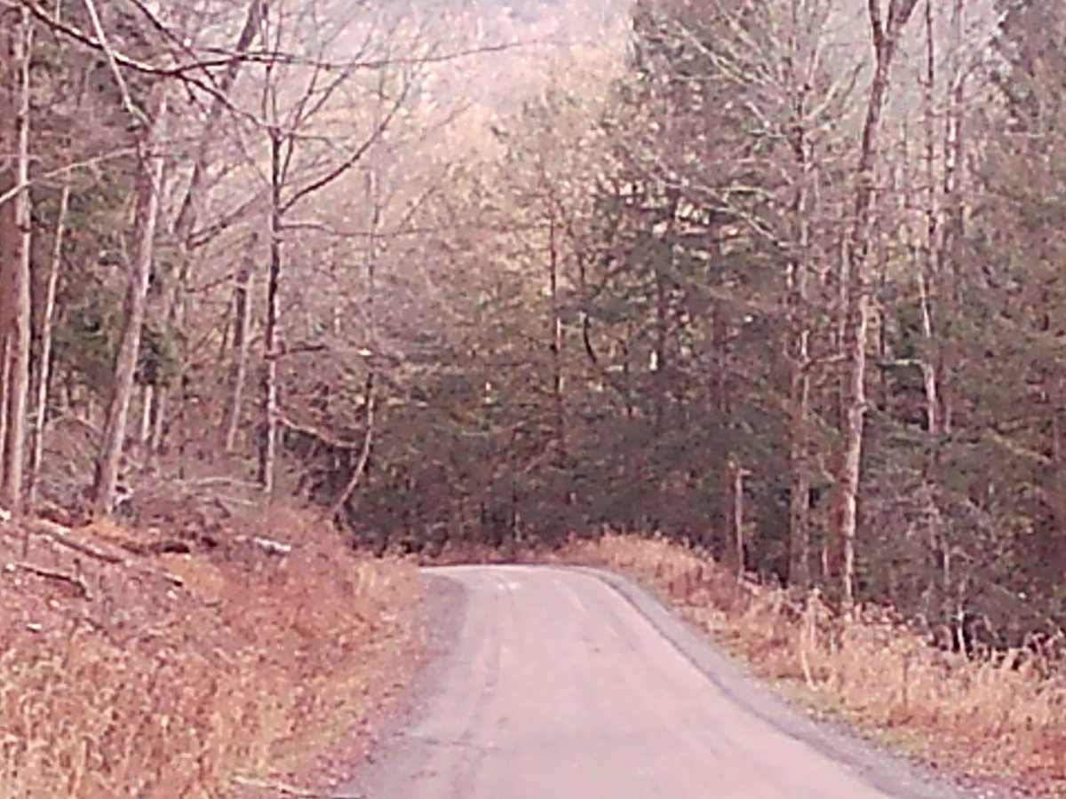 Brunnerdale Road photo 5