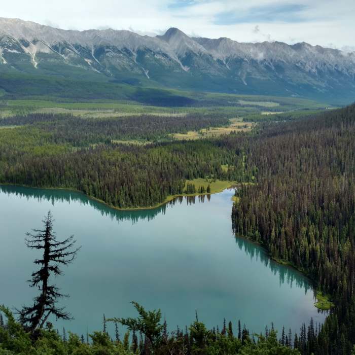 Near Viewpoint Trail