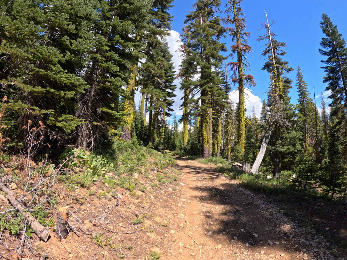 Church Creek Spur - Fs 28-004 photo 5