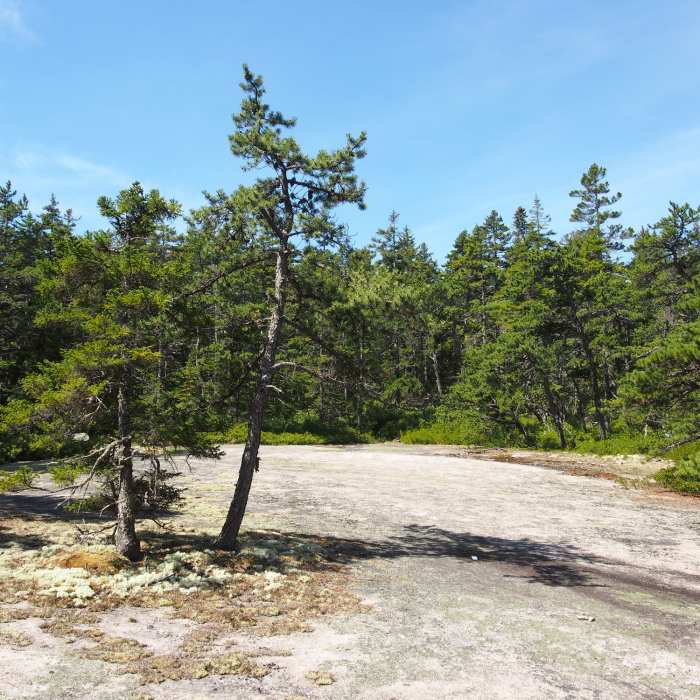 At the peak of the trail Near Watershed Trail