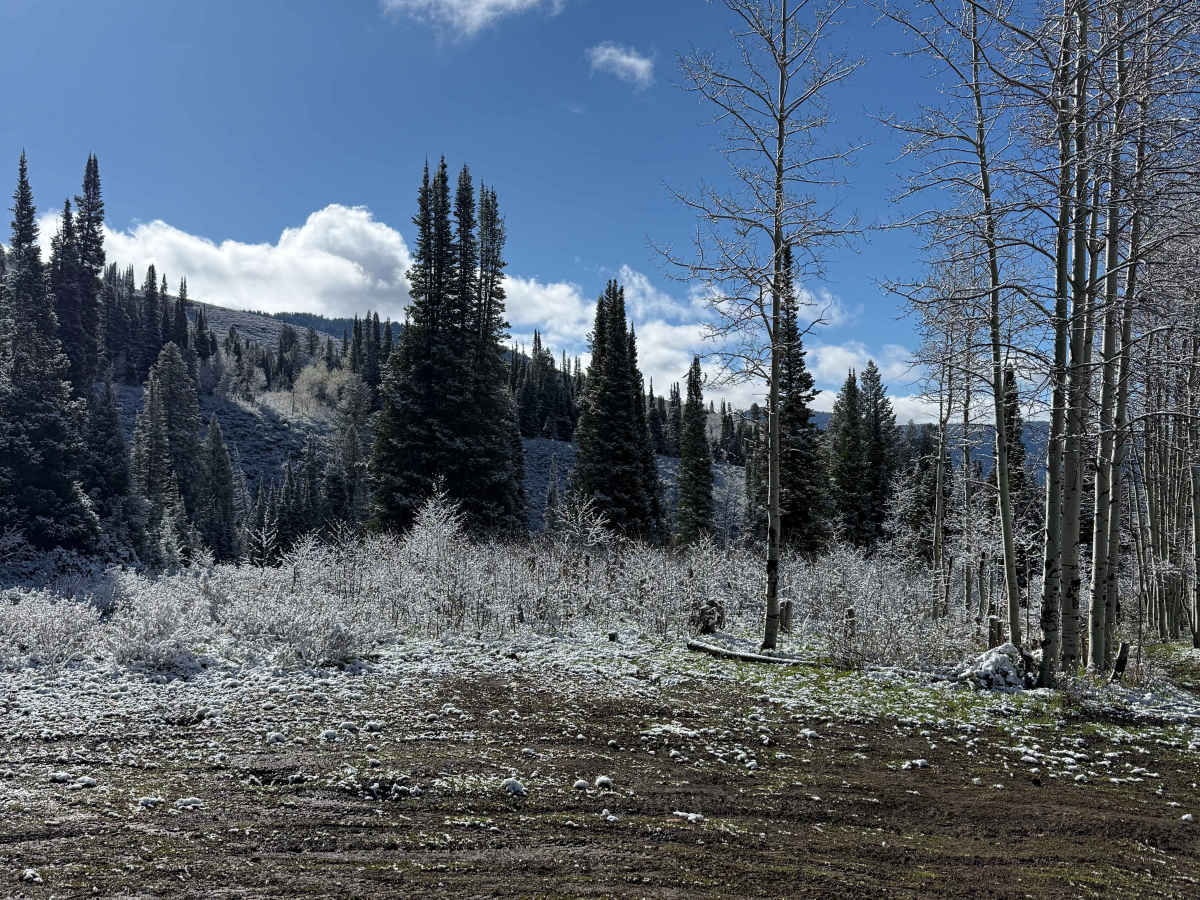 Franklin Basin Utah Section photo 5