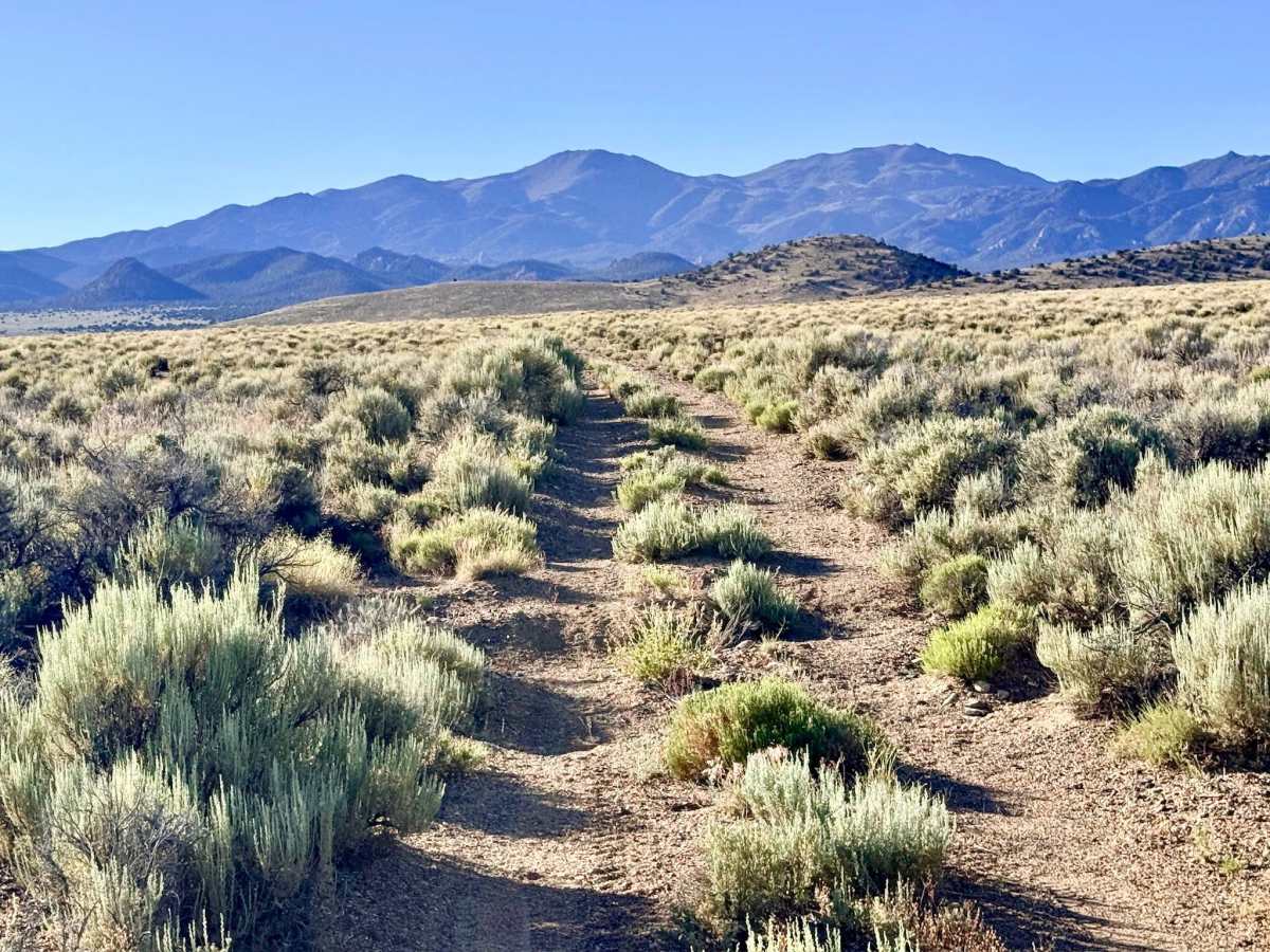 Monarch Road trail photo