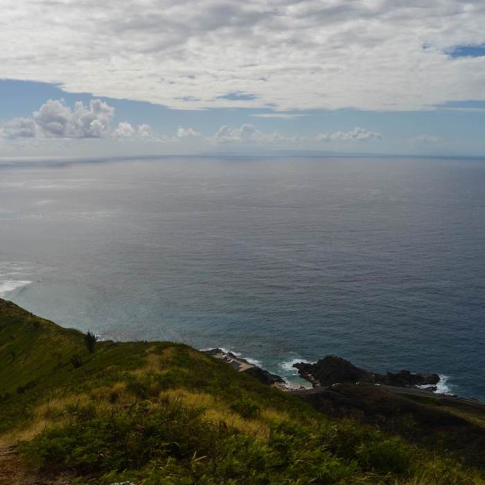 Near Koko Crater Rim Trail Near Koko Crater Rim Trail
