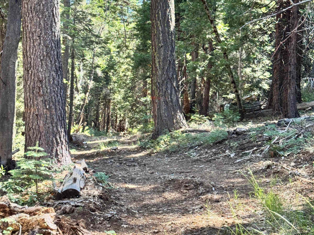 Lower Glen Spur - FS 96-54-15 photo 5