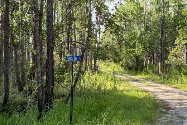 Skeleton Key Road