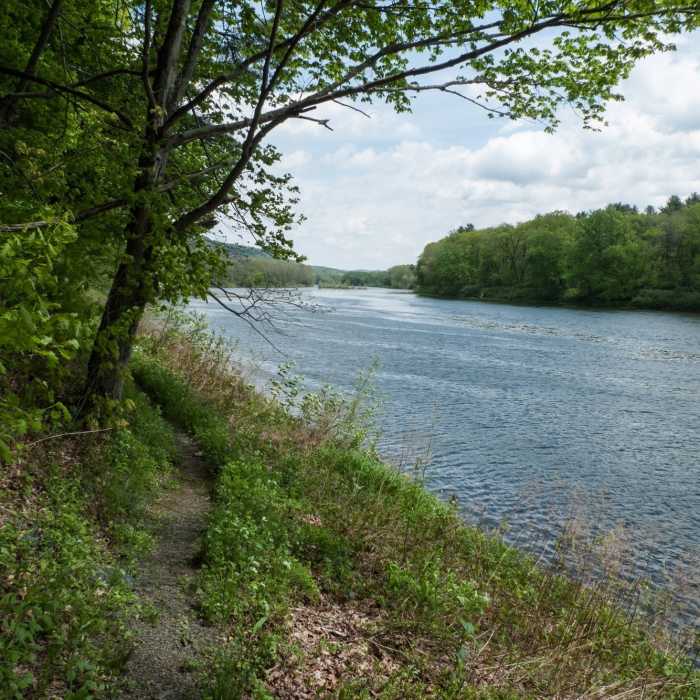 Even though this is a more difficult section of the McDade Recreational Trail, peaceful views of the river accompany you the whole way. Near McDade Recreational Trail