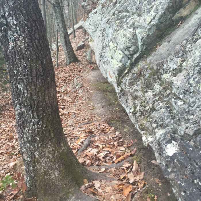 Some parts of the House Mountain trail are narrow and close to or on top of rock formations. Near House Mountain Loop