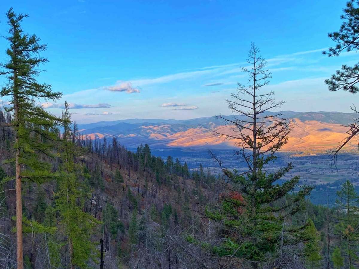 Sweeney Creek Trail trail photo