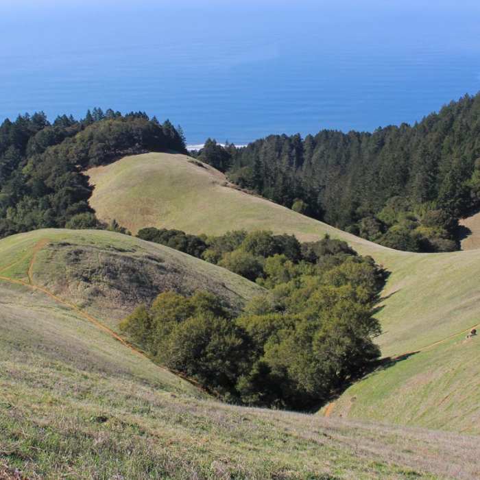 Near Coastal Trail, Pantoll to West Ridgecrest Boulevard