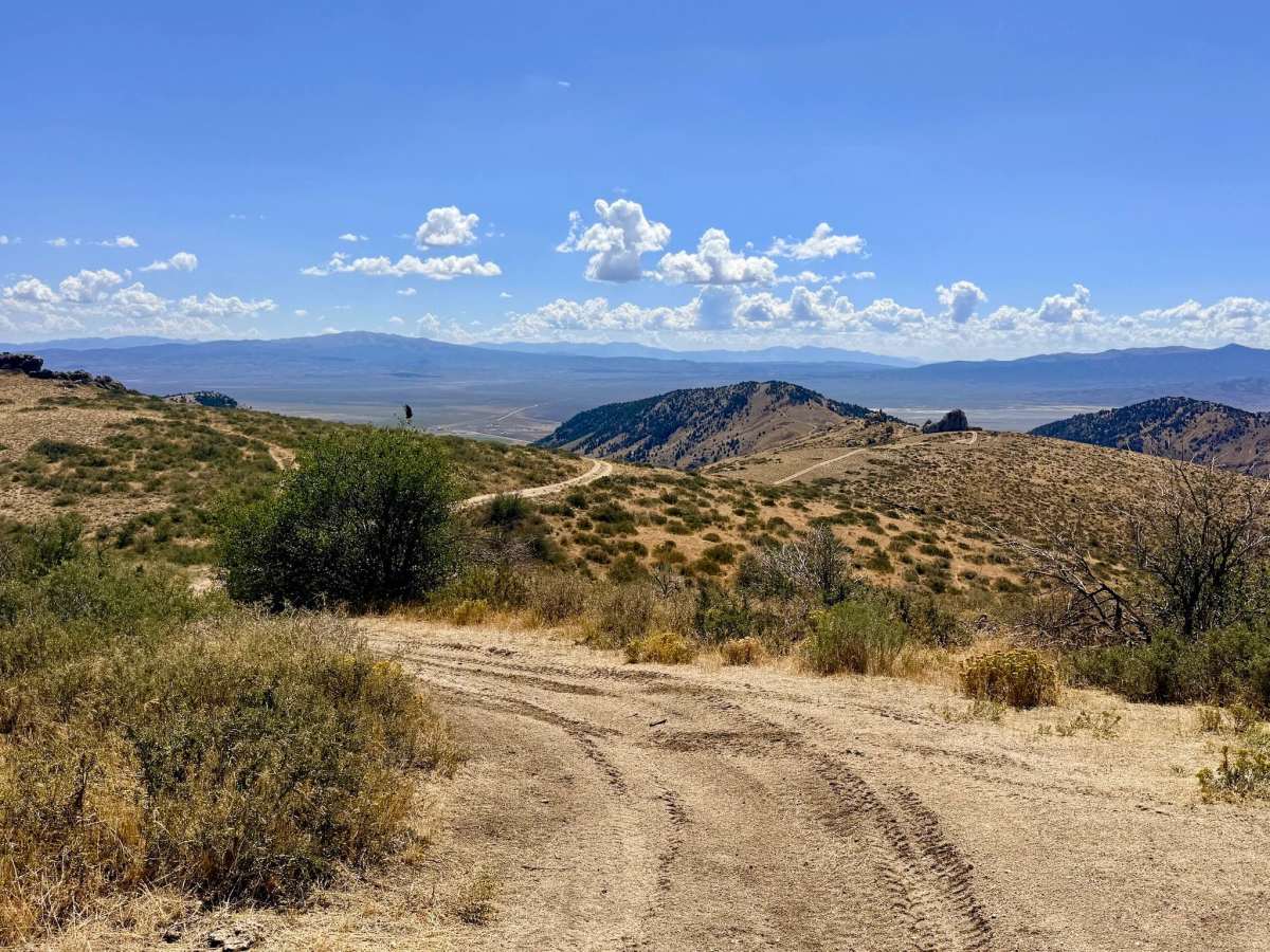  Longhair Trail trail photo