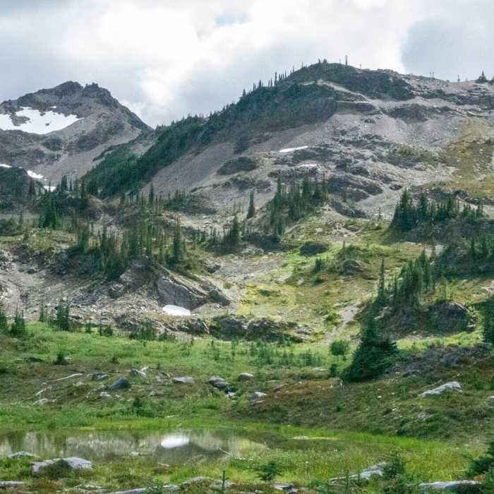 Grandpass Grand Pass Trail | Hiking Trail Maps, Difficulty, Trail Status | onX