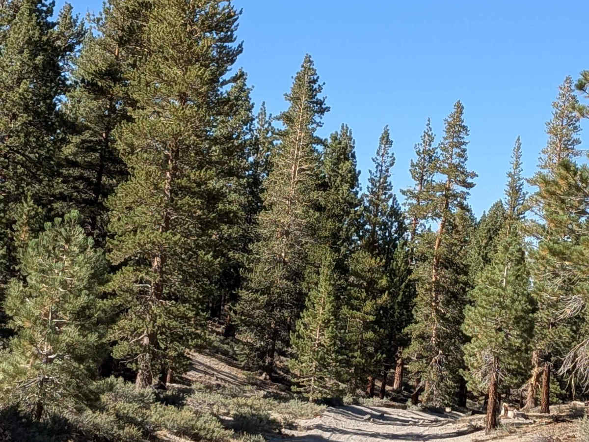 Obsidian Dome Road/Glass Flow Road - NF2S10 photo 5