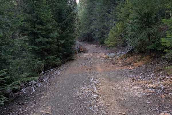 Clark Creek Loop - FS 4N25