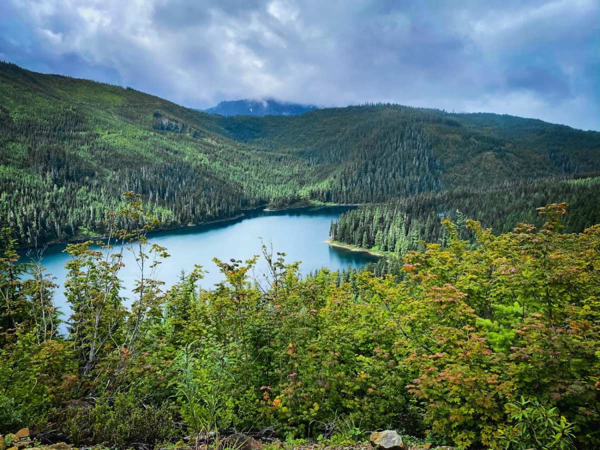 Roaring Ridge Lookout photo 3