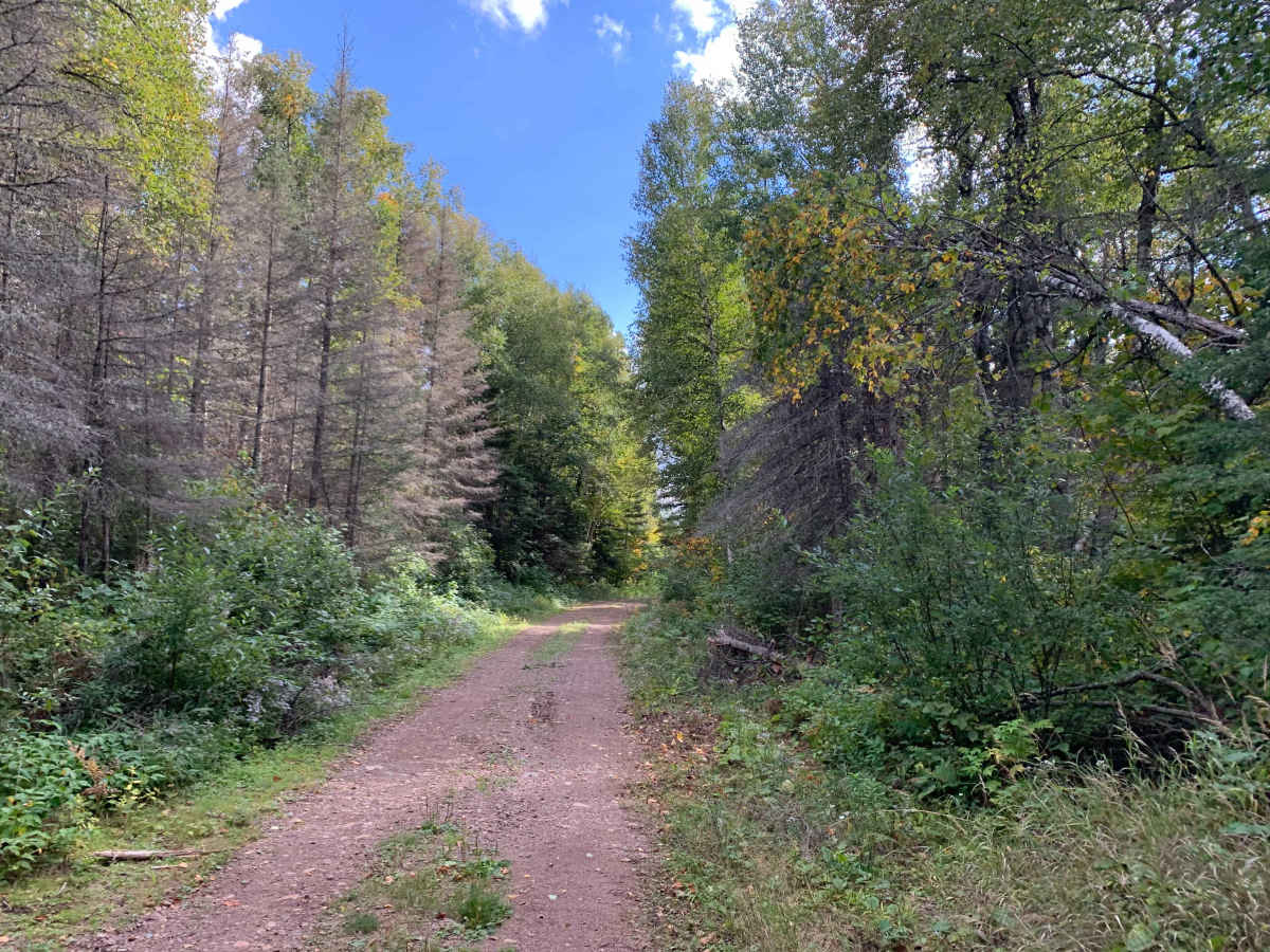 Shoepack Lake Spur C Trail - FS 359C photo 2