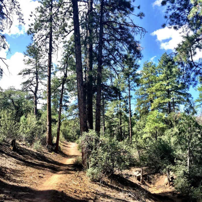 Near Balancing Rock Trail #349