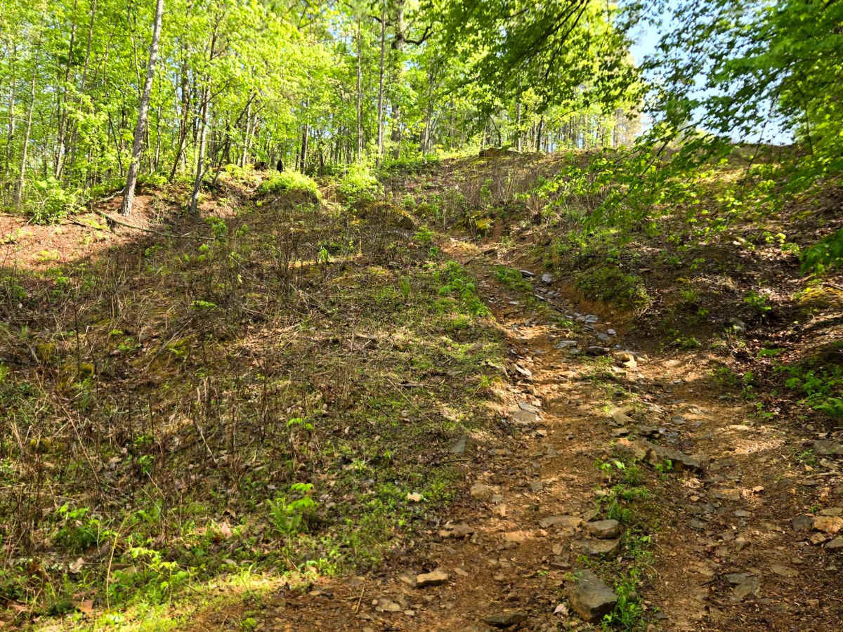 Burr Ridge photo 5