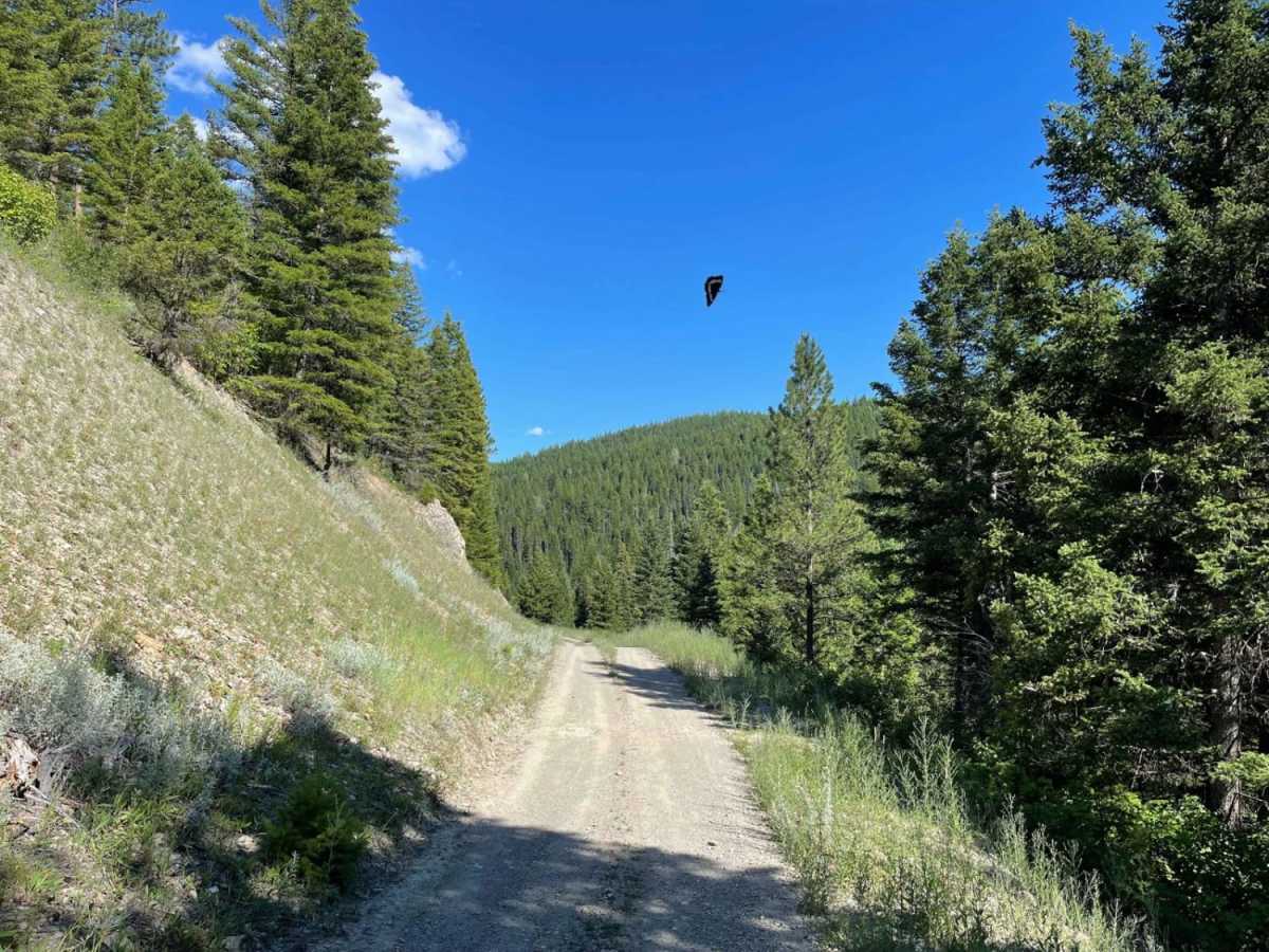 Schwartz Creek photo 4