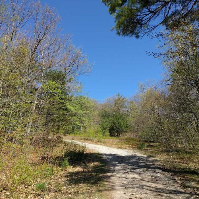 Near Belknap Range Trail Near Belknap Range Trail