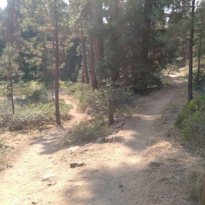 Near Shevlin Loop Trail