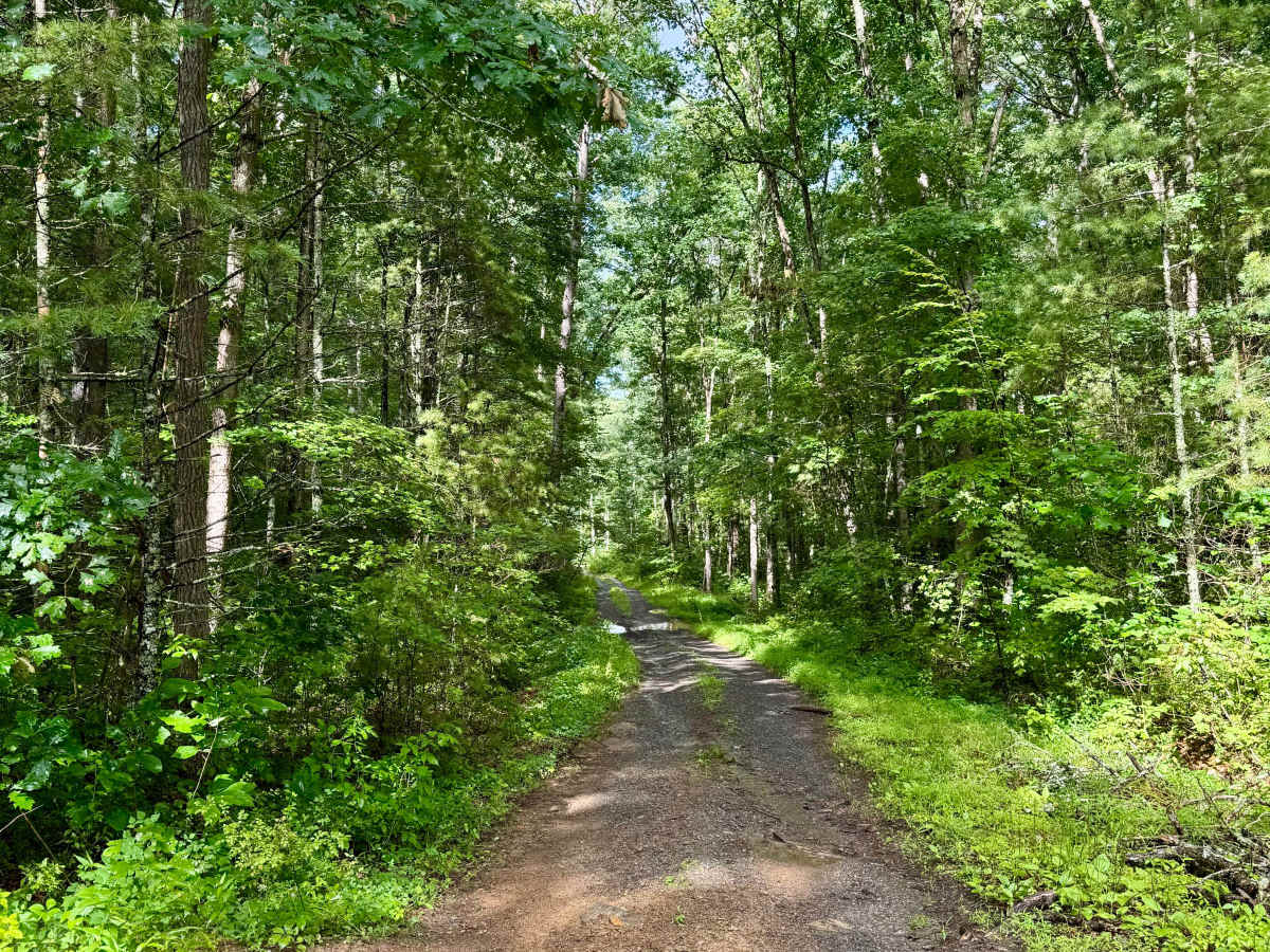 Beaver Creek Road - CR 21 photo 4