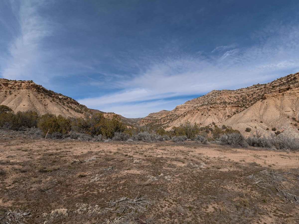 BLM 129 photo 5