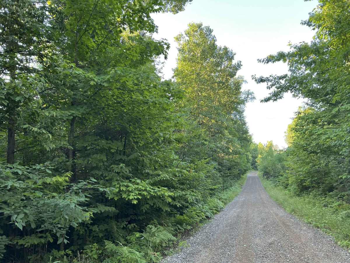 Quinlan Spur Road - Florence County F5 photo 3