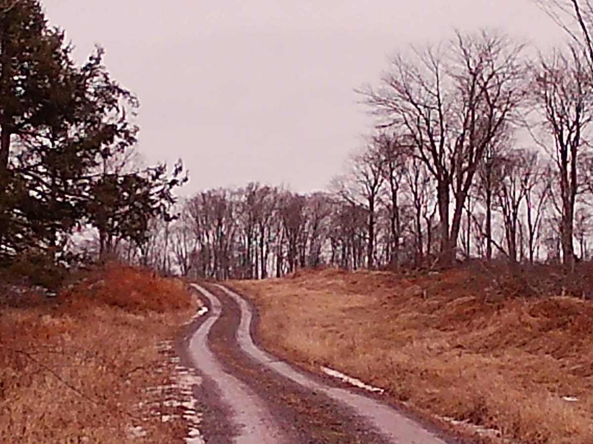 Masonite Road photo 5
