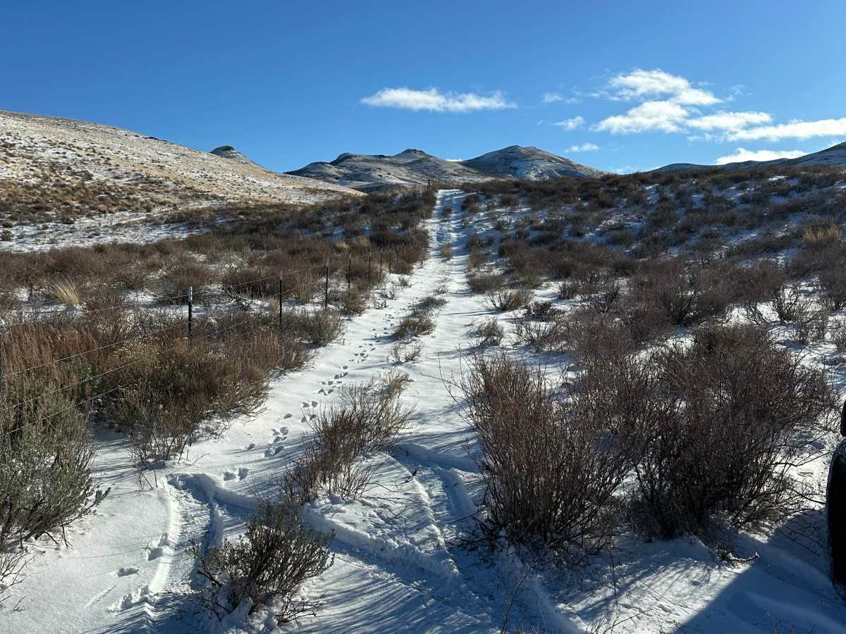 Rats Nest Gulch photo 2