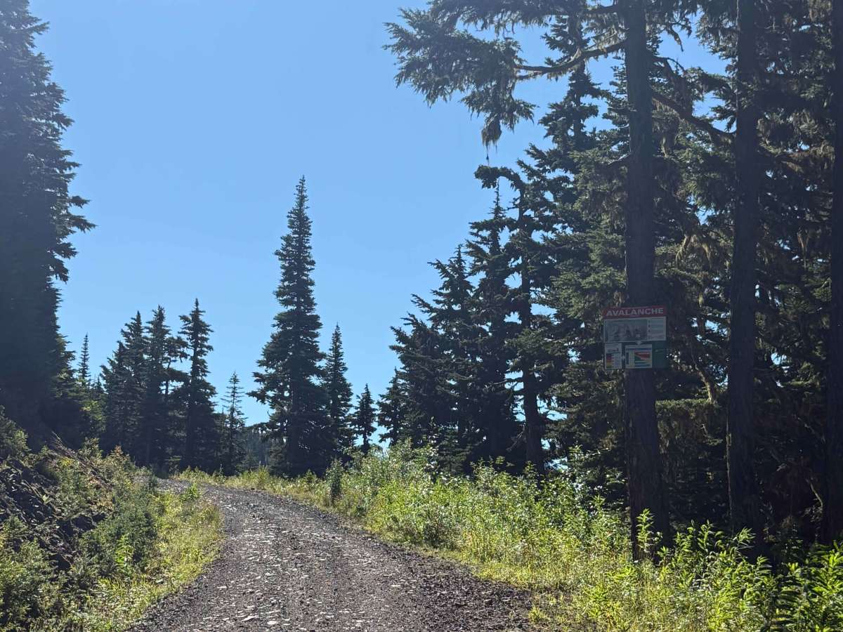 Trapper Mainline photo 3