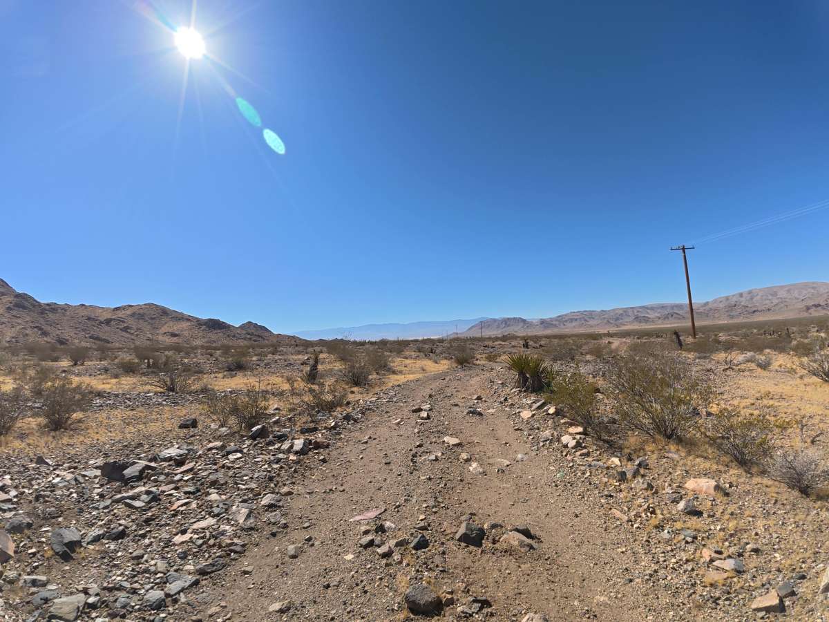 BLM 0M6605 photo 4