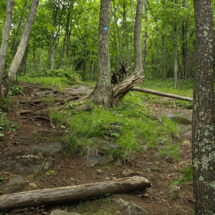 Near Chimney Mountain