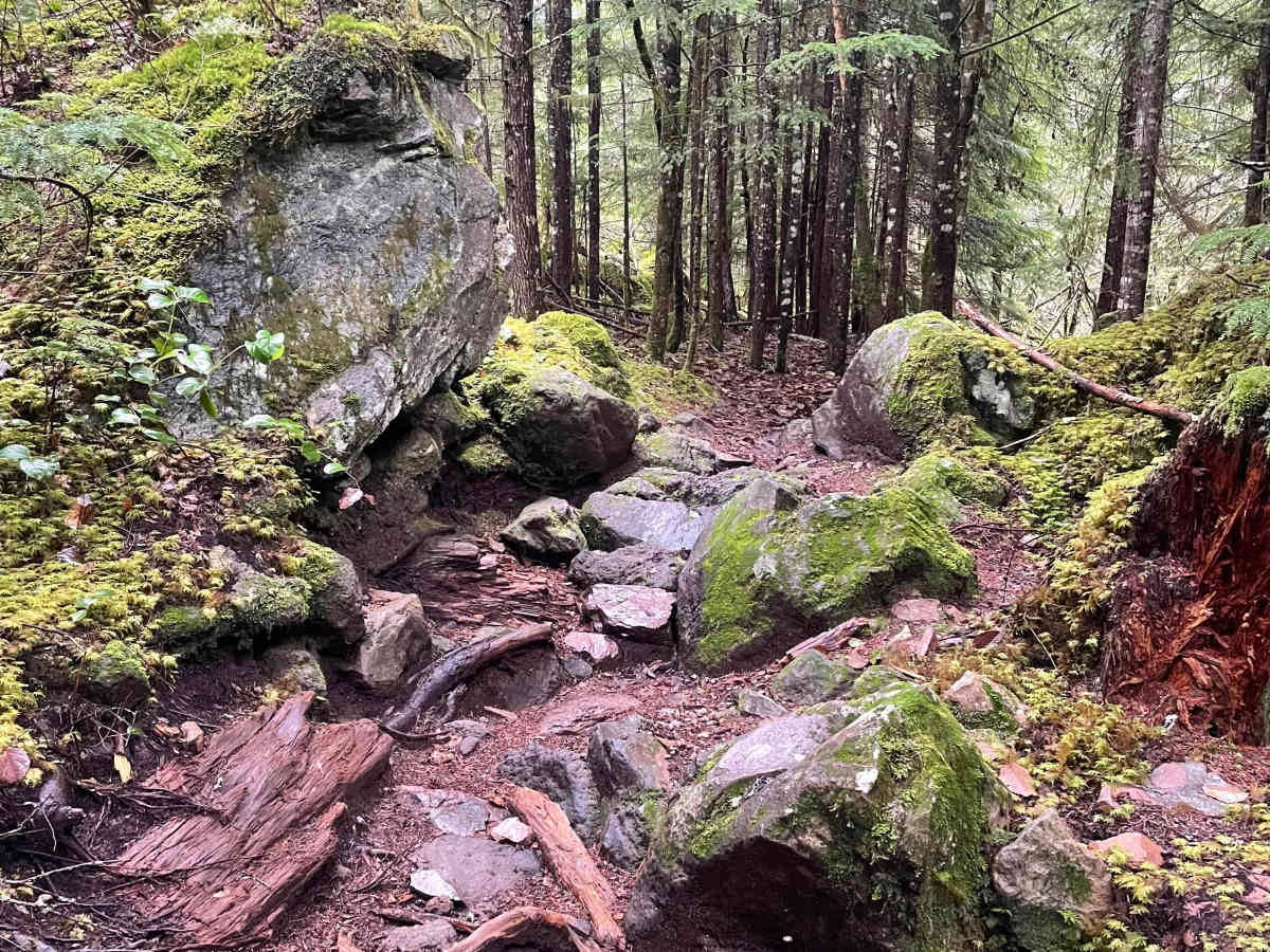 Whiskey Bet trail photo