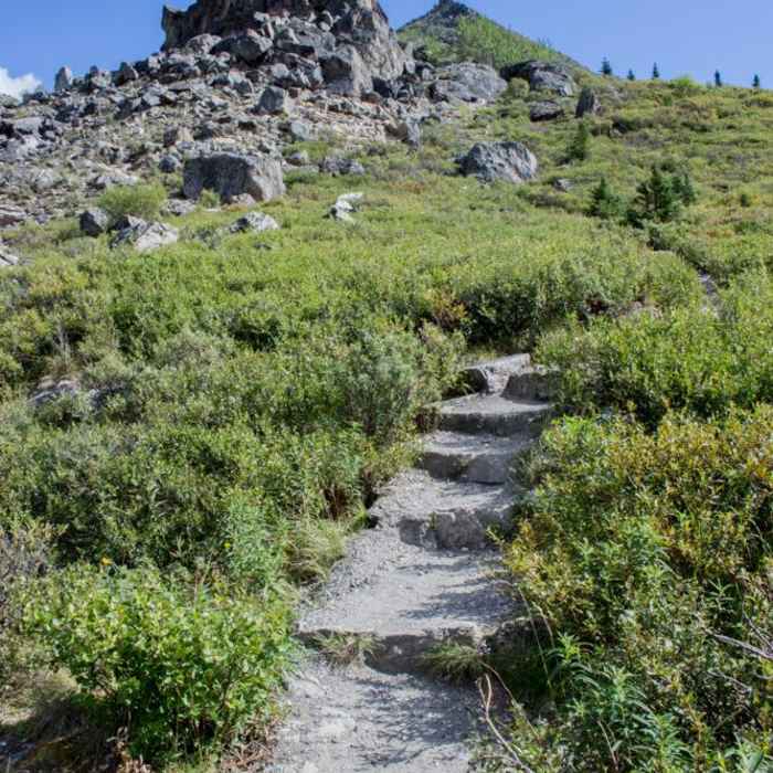 Near Savage Alpine Trail Near Savage Alpine Trail