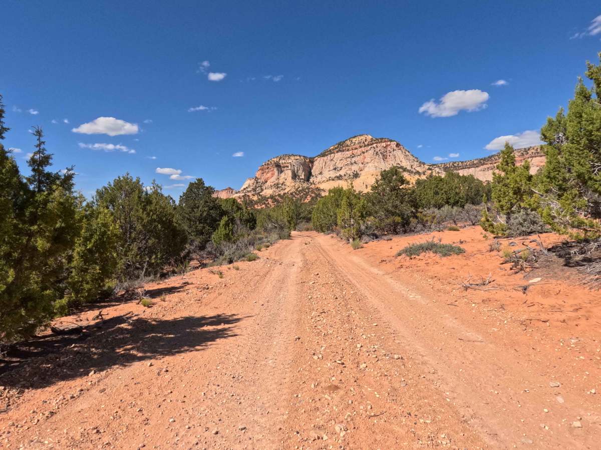 BLM 106L trail photo