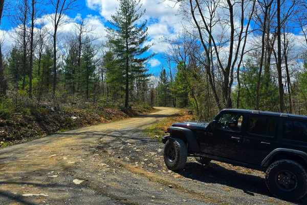 Wirt Road