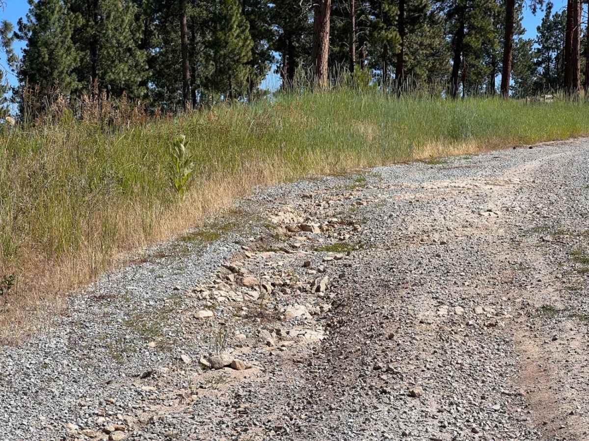Riemel Trail/ Hiking Trailhead photo 4