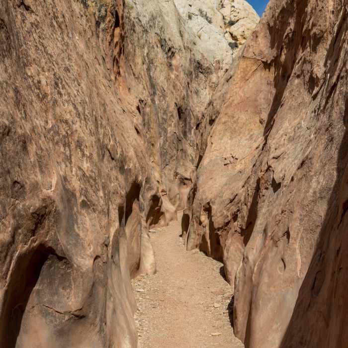 Near Bell Canyon Trail