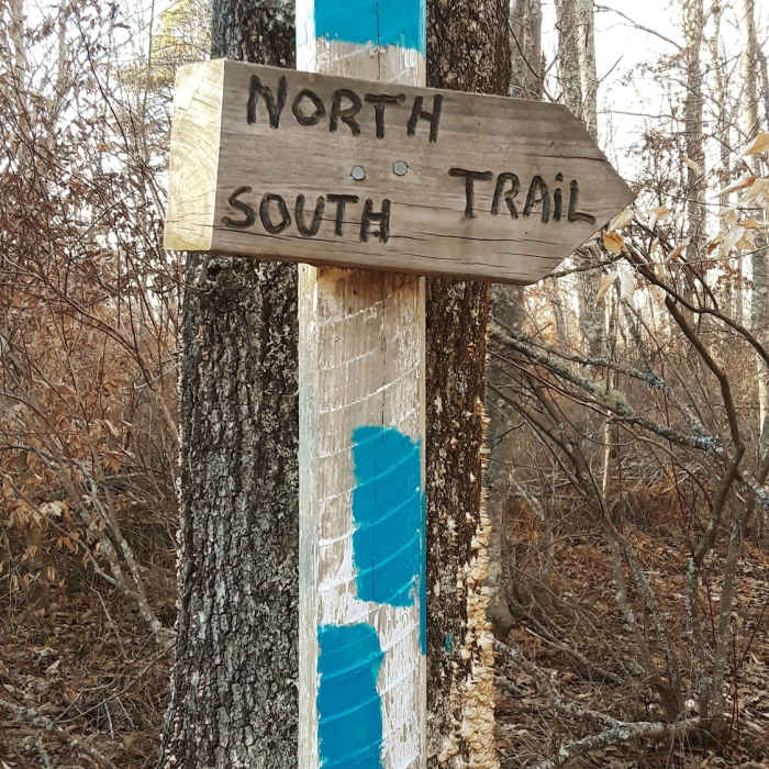 Near Shumankanuc Hill Loop