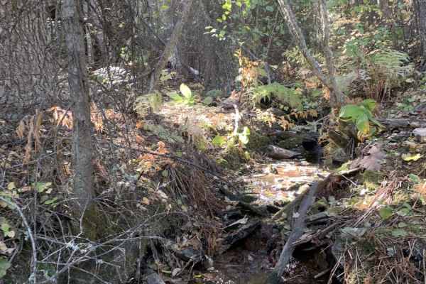 Lost Horse Ridgeline Lower