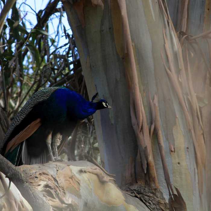 Near Blue Rock Springs Park