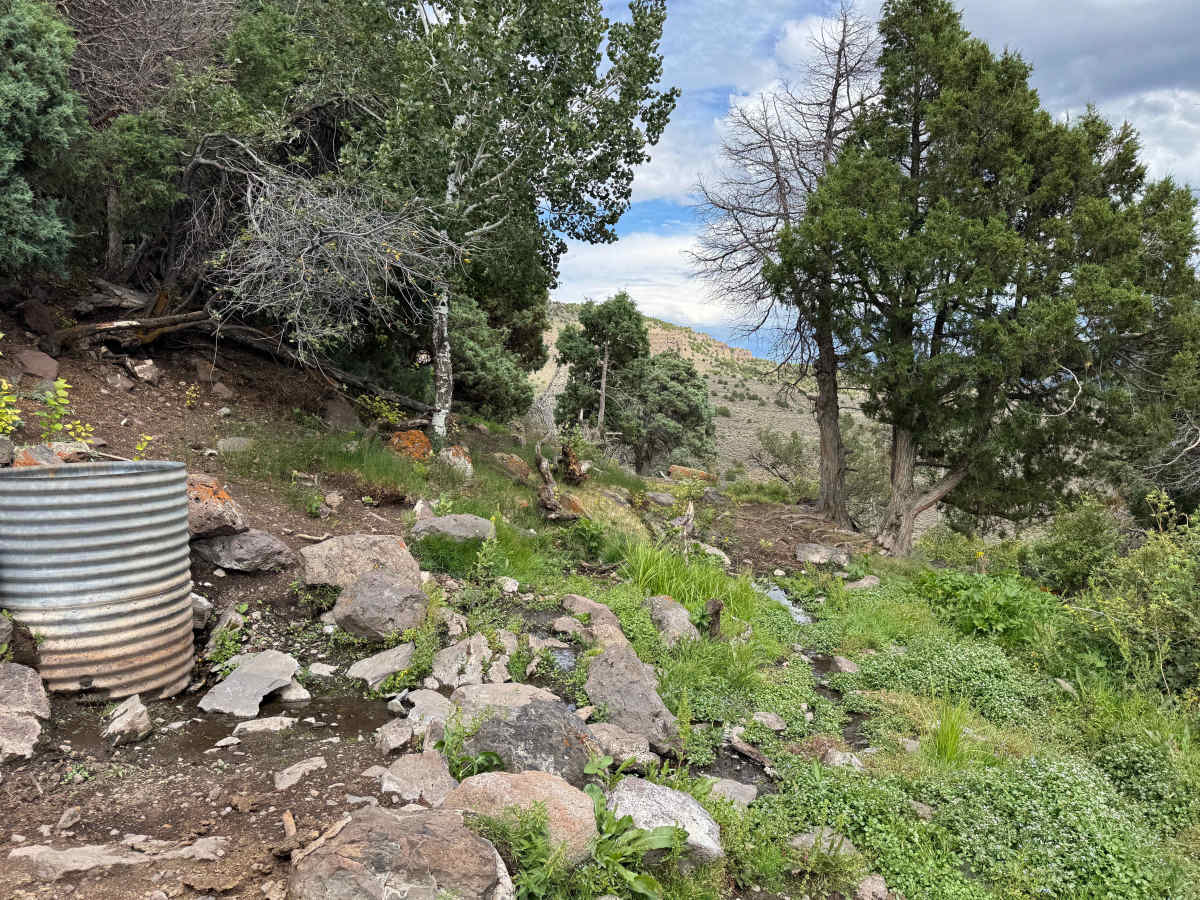 Big Spring Road trail photo