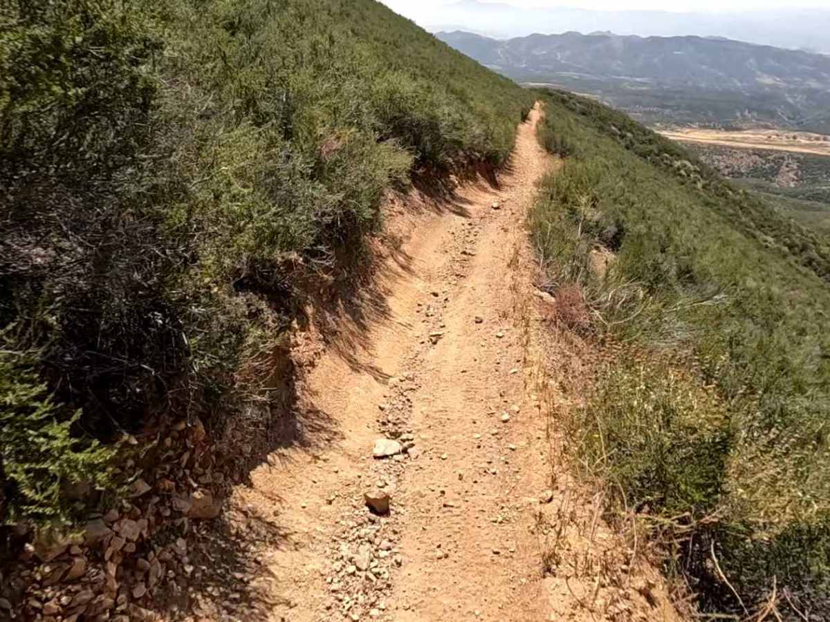 Break OHV Trail photo 5