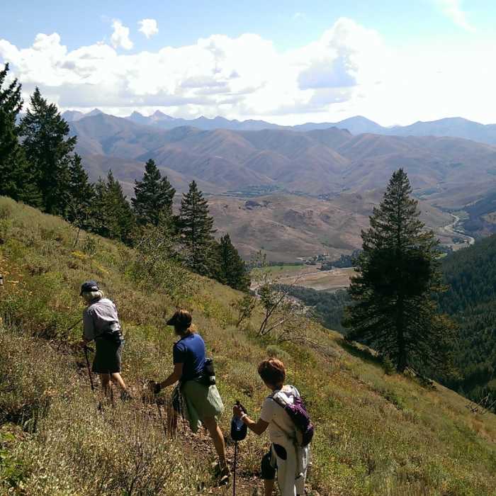 Near Bald Mountain Trail